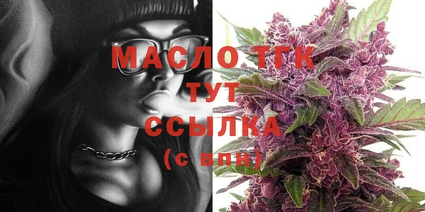 винт Горняк