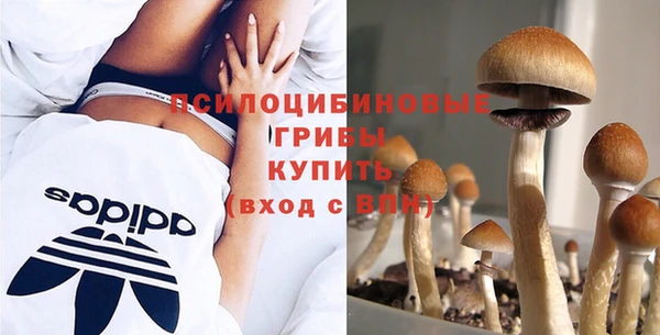 винт Горняк